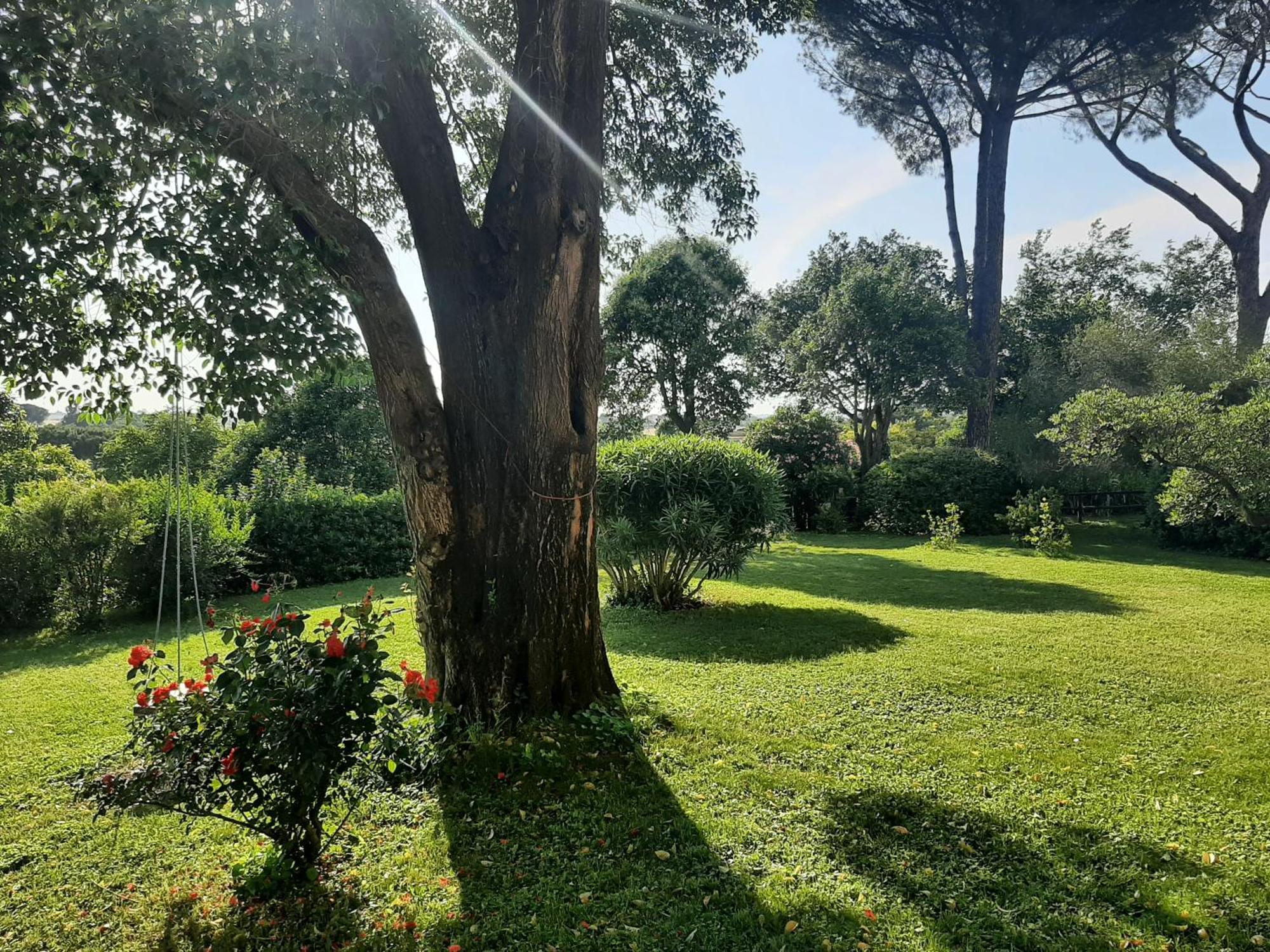 IV Casale Roma Country Villa Zewnętrze zdjęcie